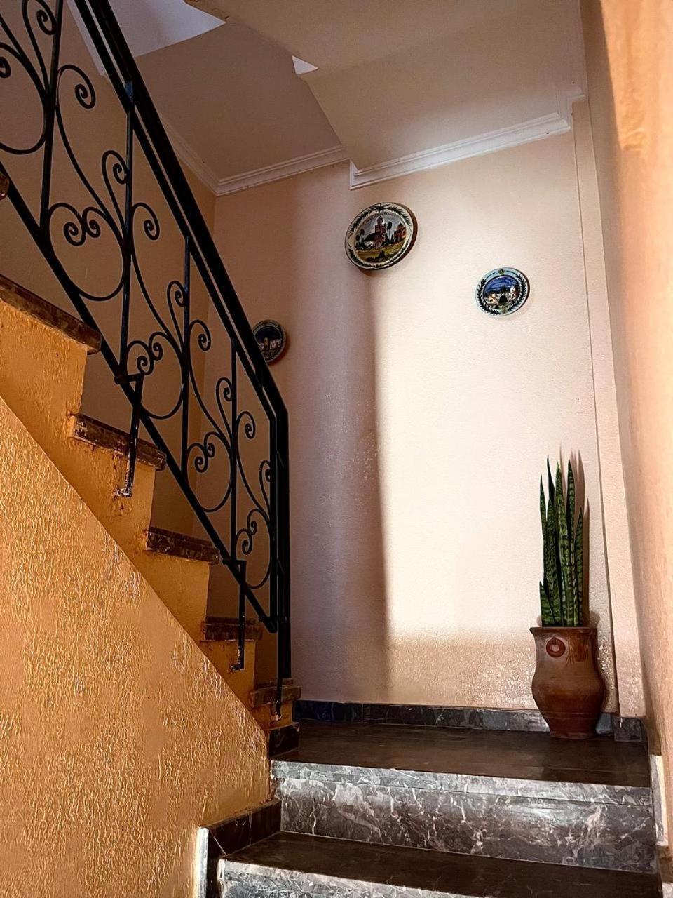 Wave Stay Hostel - Sea View أغادير المظهر الخارجي الصورة